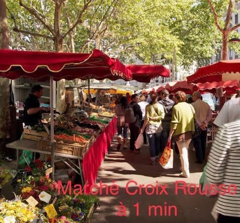 شقة Le Jardin Croix Roussien ليون المظهر الخارجي الصورة